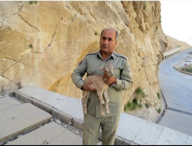 هدایت‌الله دیدبان