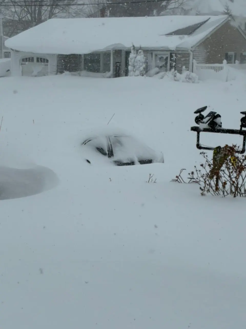 بارش برف در آمریکا