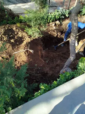 پیداشدن جسد