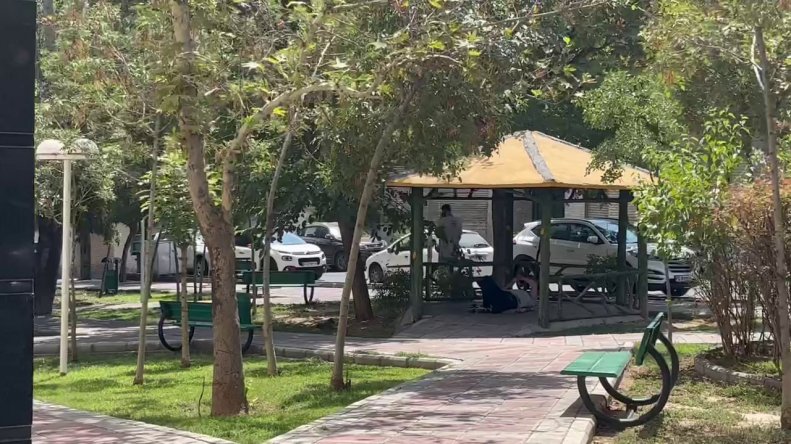 احمد گوهری بعد از جلسه با مدیران باشگاه در پارک مجاور ساختمان پرسپولیس دیده شد.
