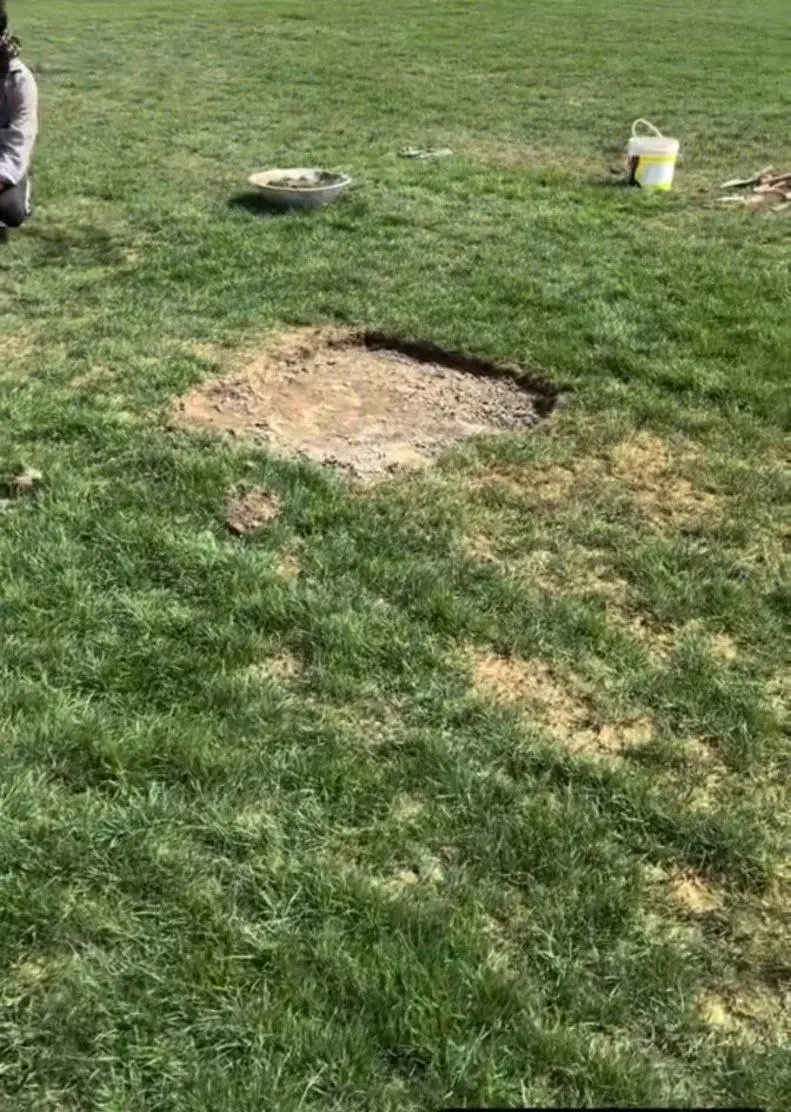 چمن زمین ورزشگاه