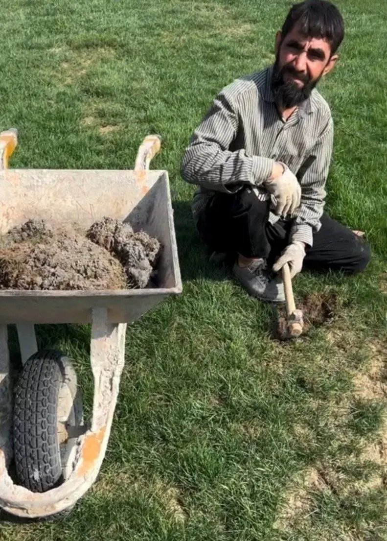 چمن زمین ورزشگاه