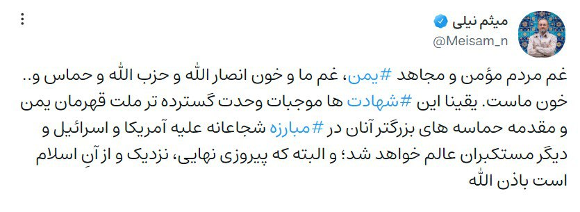 توییت میثم نیلی