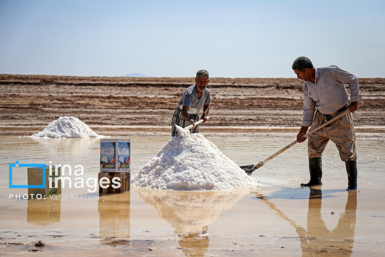 برداشت نمک از رودخانه کال شور