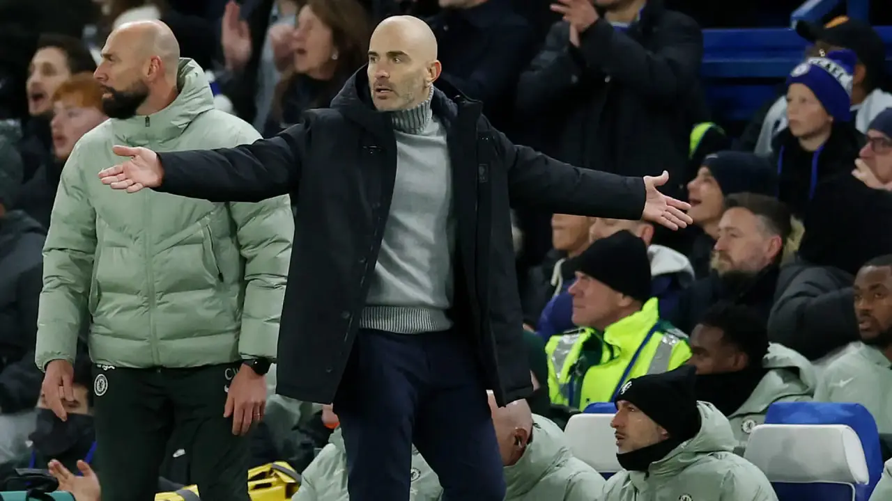 انزو مارسکا