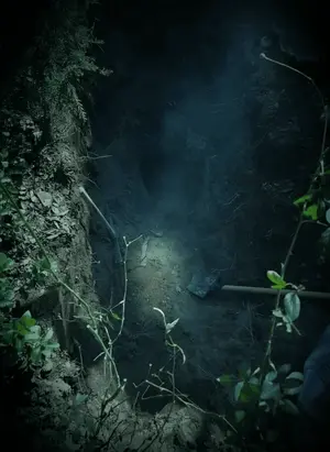 پیداشدن جسد