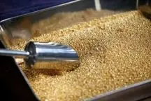  کدام کشورها بیشترین ذخایر طلا را دارند؟