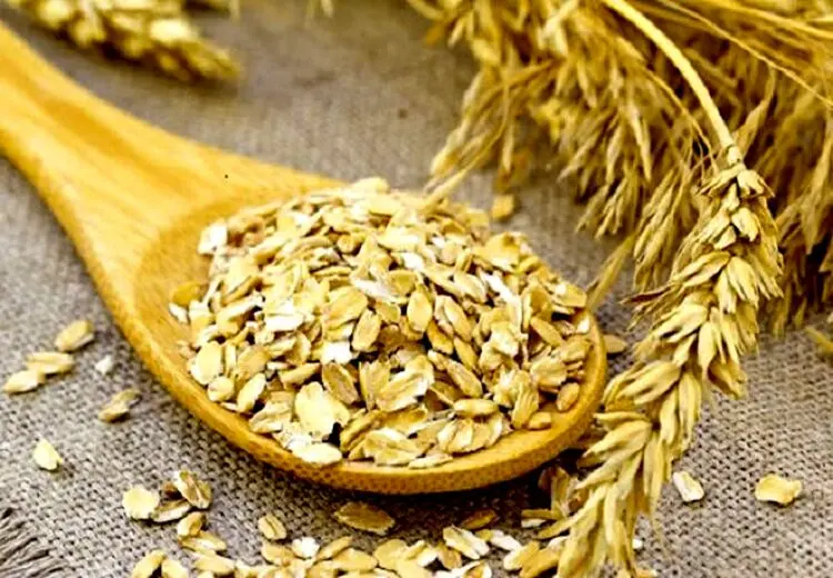 خواص فراوان درمانی جو که چیزی از آن نمی‌دانید