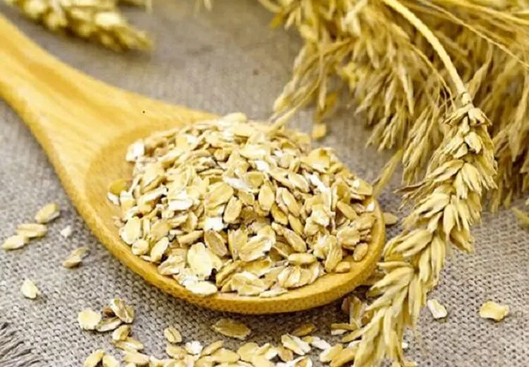 خواص فراوان درمانی جو که چیزی از آن نمی‌دانید