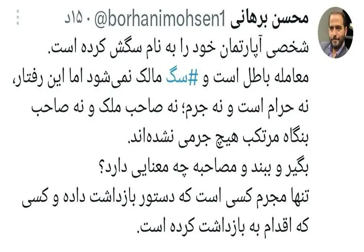 واکنش یک حقوقدان به حواشی ثبت سند یک خانه به‌نام یک سگ