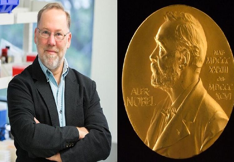 برنده نوبل پزشکی ۲۰۲۵ در کنار خرس‌های گریزلی است!