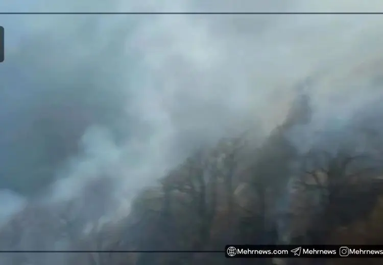 اولین تصاویر از حجم خسارت آتش‌سوزی جنگل‌های الیت