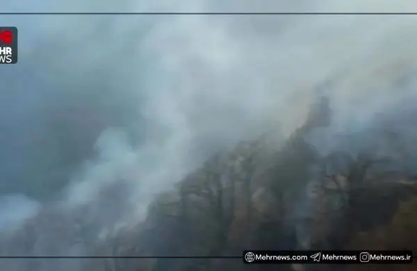 اولین تصاویر از حجم خسارت آتش‌سوزی جنگل‌های الیت