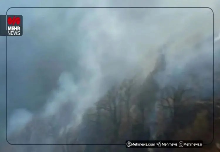 اولین تصاویر از حجم خسارت آتش‌سوزی جنگل‌های الیت