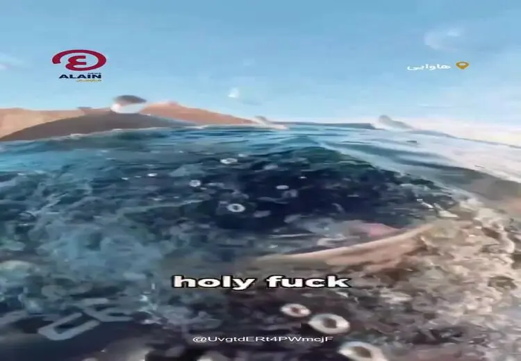 نجات معجزه‌آسای غواص زن از دهان نهنگ عظیم‌الجثه