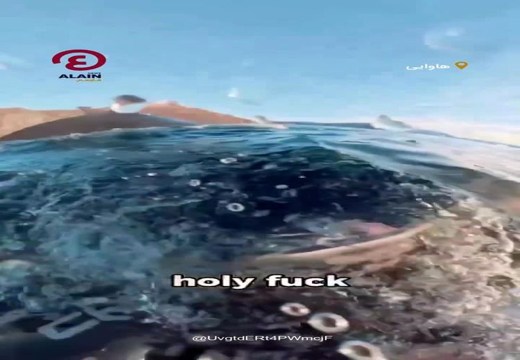 نجات معجزه‌آسای غواص زن از دهان نهنگ عظیم‌الجثه