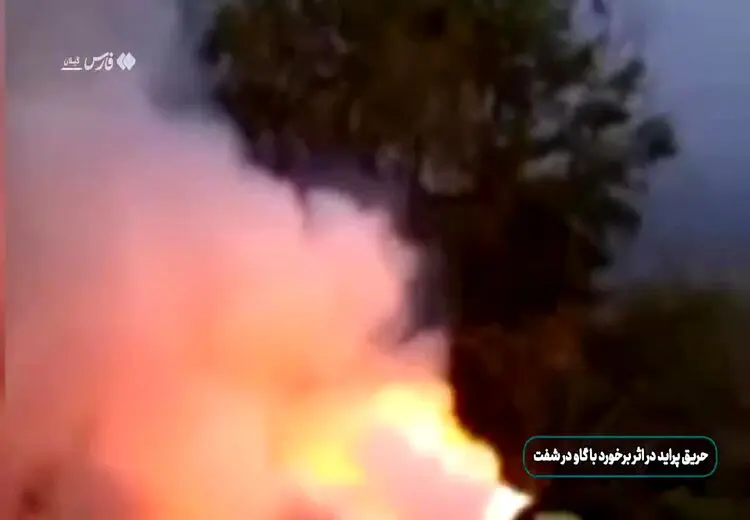  گاو یک پراید را به آتش کشید!/ فیلم