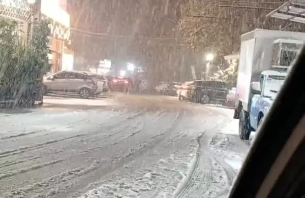  طرقبه مشهد کاملا سفید پوش شد / فیلم