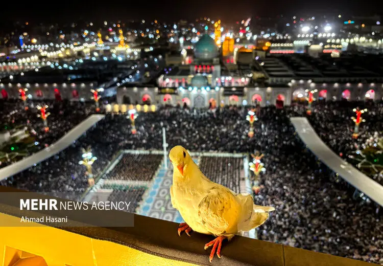  مراسم خطبه‌خوانی شب شهادت حرم امام رضا (ع) 