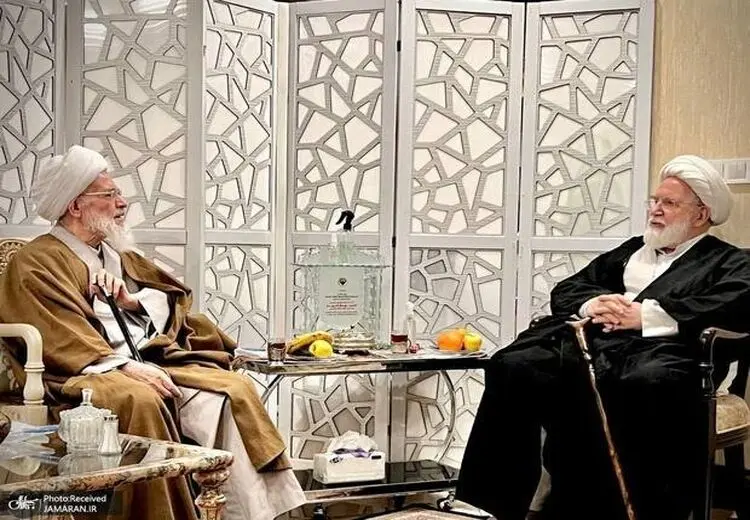 دیدار یک مرجع تقلید با مهدی کروبی