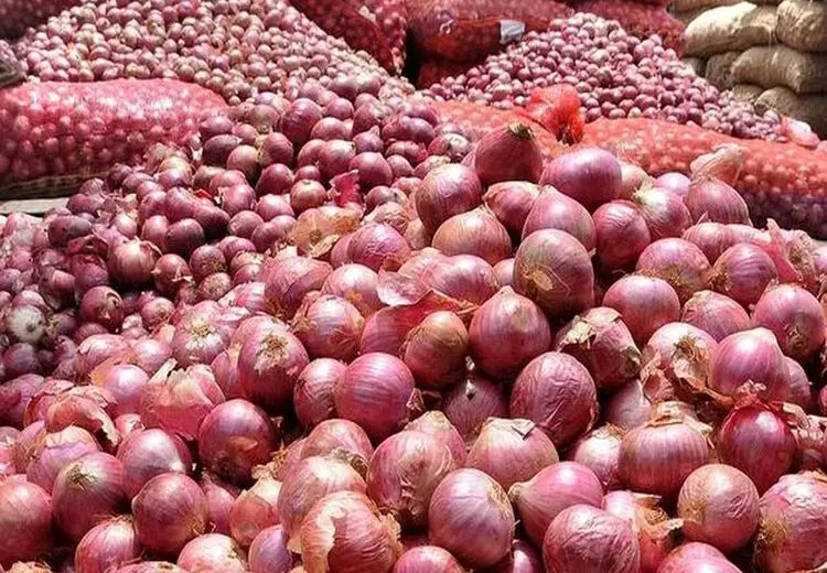 قاچاق پیاز در پوست پرتقال در مرز ایران و عراق‌