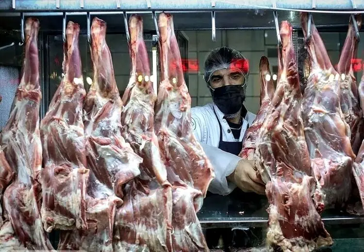 قیمت گوشت گوسفند باز هم بالا رفت