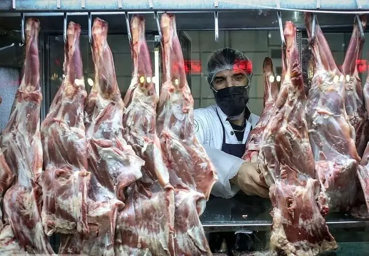قیمت گوشت گوسفند باز هم بالا رفت