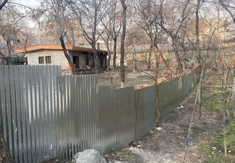 واکنش زاکانی به حصارکشی در پارک قیطریه:حتما در پارک‌ها مسجد می‌سازیم،‌ مسجد خوب هم می‌سازیم!