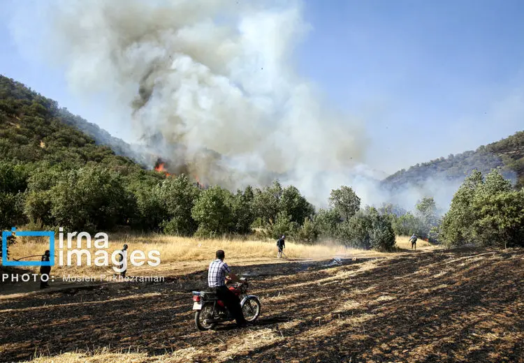 مدیرکل منابع طبیعی مازندران: تصاویر شفاف و بدون دود منطقه بیانگر کنترل حریق در الیت است