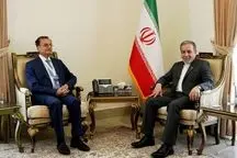 تاکید عراقچی بر ضرورت هماهنگی کشورهای منطقه جهت مقابله با سیطره‌طلبی رژیم صهیونیستی