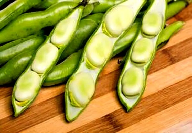 فاویسم چیست و چه علایمی دارد؟