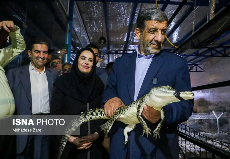 تمساح در بغل ضرغامی!