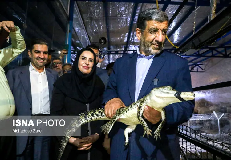 تمساح در بغل ضرغامی!