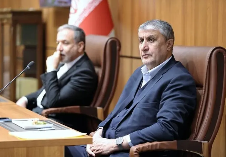 اسلامی: سازمان انرژی اتمی و وزارت خارجه ید واحده هستند