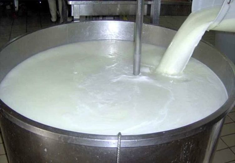 قیمت جدید هر کیلو شیرخام تعیین شد
