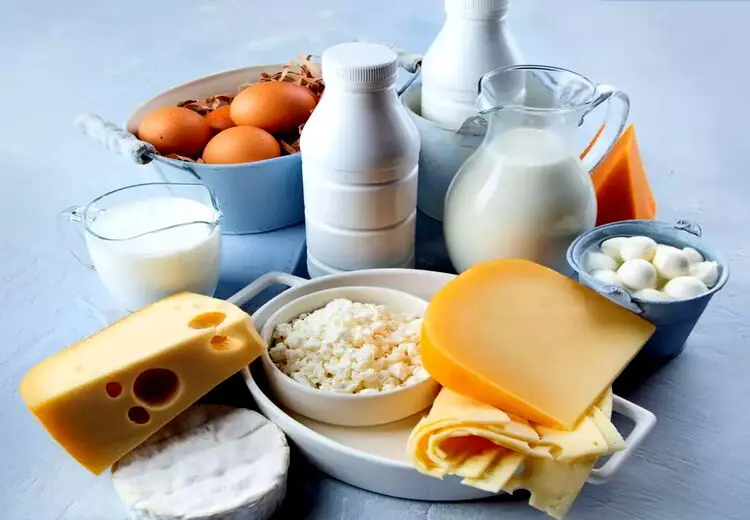 تاثیر لبنیات را در چربی‌سوزی و لاغری جدی بگیرید 
