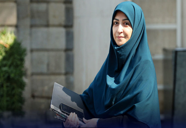 بی‌پولی سازمان محیط زیست برای وکیل محیط‌بان و پولداری برای سفر!