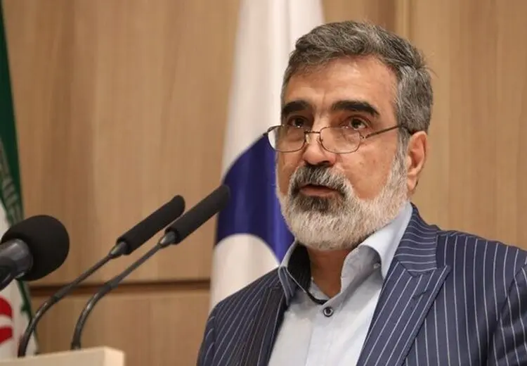 کمالوندی: در صورت تصویب قطعنامه، ایران در سطح همکاری با آژانس تجدیدنظر خواهدکرد