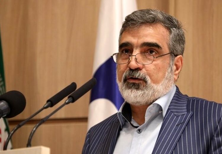 کمالوندی: در صورت تصویب قطعنامه، ایران در سطح همکاری با آژانس تجدیدنظر خواهدکرد