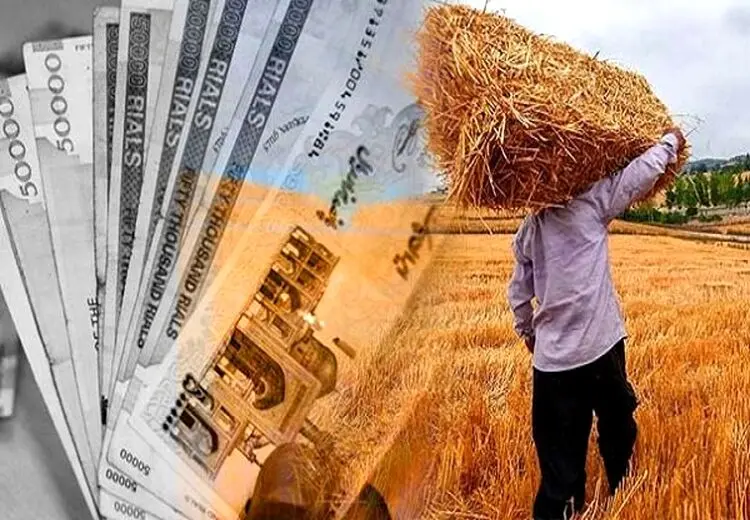 زمان پرداخت مطالبات گندم‌کاران مشخص شد؟