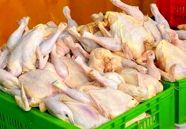 قیمت یک کیلو مرغ در بازار چقدر شد؟ + جدول
