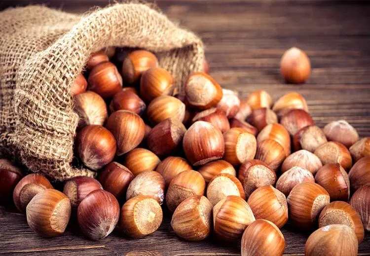 نقش فندق در کاهش ریسک ابتلا به سرطان