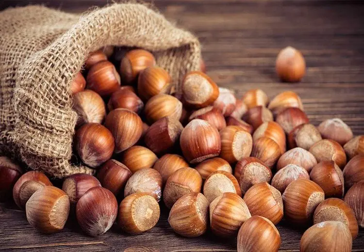 نقش فندق در کاهش ریسک ابتلا به سرطان