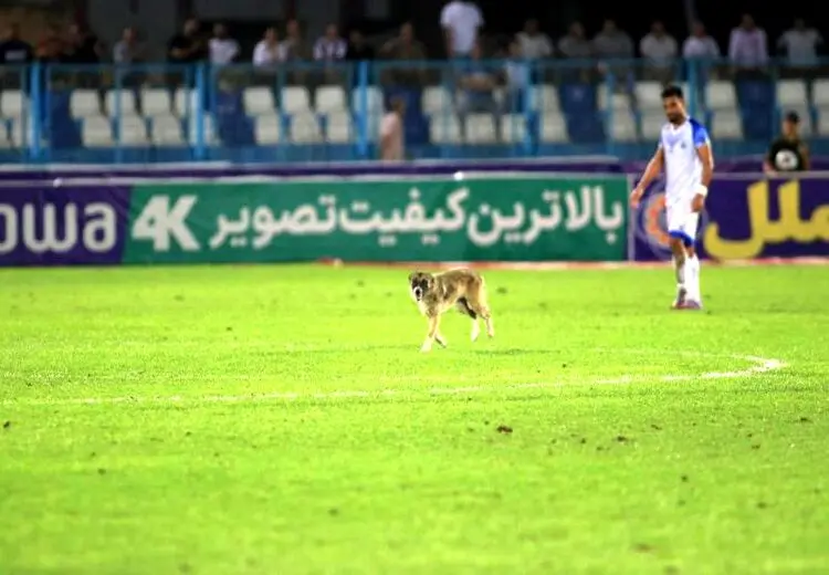 عجیب‌ترین صحنه‌های فوتبال ایران ! + عکس