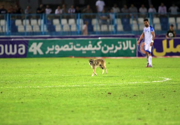 عجیب‌ترین صحنه‌های فوتبال ایران ! + عکس