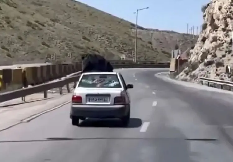 توقیف پرایدی که روی سقفش یک زن بود! + عکس
