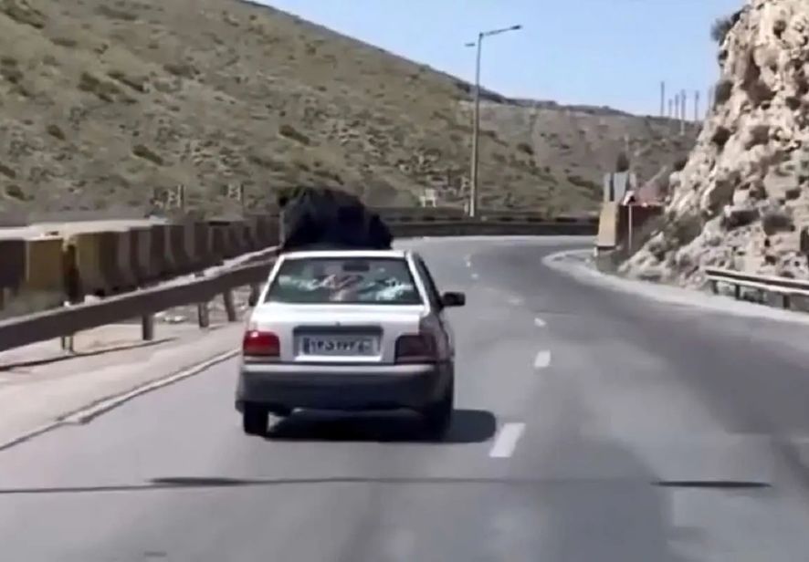 توقیف پرایدی که روی سقفش یک زن بود! + عکس
