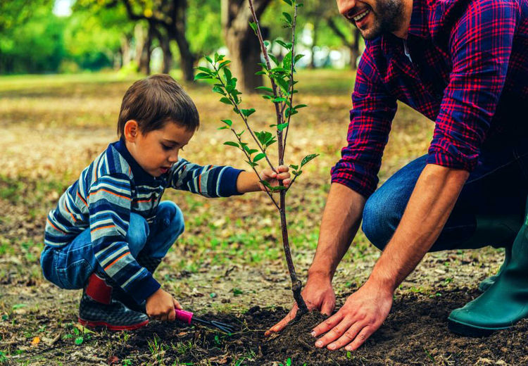  صدور شناسنامه نوزادان به شرط کاشت درخت صحت دارد؟