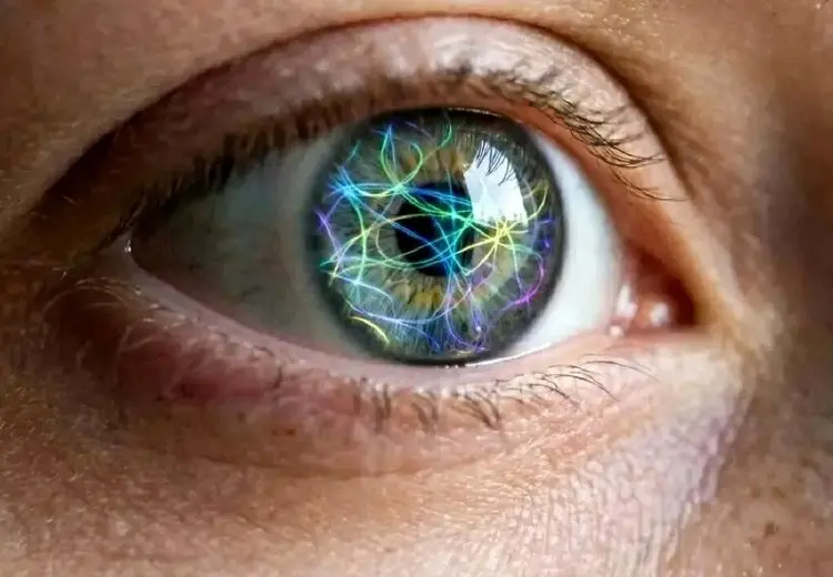 حواس پنج‌گانه را فراموش کنید؛ شاید ۳۳ حس داشته باشیم!