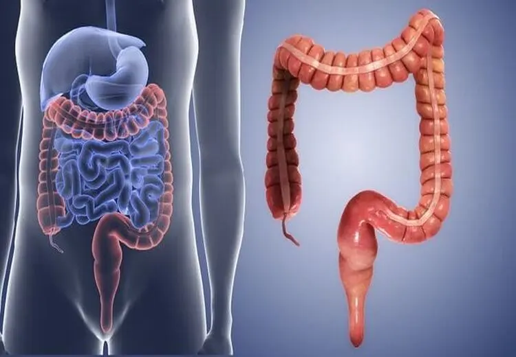 افزایش انسداد گوارشی ناشی از مصرف بی‌رویه «انار» و «خرمالو» در کودکان